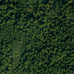 Satellite imagery of Hungersberg, DE