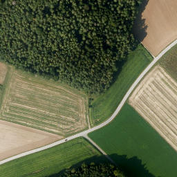 Satellite imagery of Frohnbühl, DE