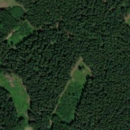 Satellite imagery of (Borovina [Seč-Prosíčka]), CZ
