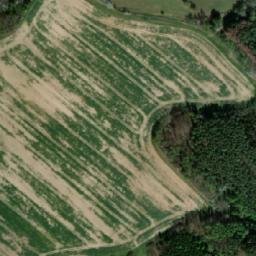 Satellite imagery of Rychnovský vrch [Rychnov na Moravě], CZ