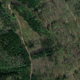 Satellite imagery of Rychnovský vrch [Rychnov na Moravě], CZ