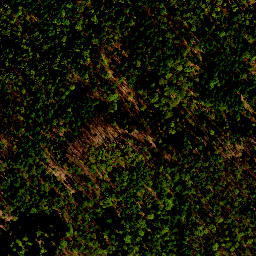 Satellite imagery of survey_point, PL