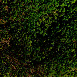 Satellite imagery of survey_point, PL