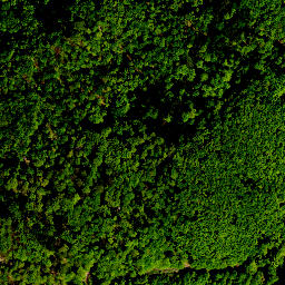 Satellite imagery of survey_point, PL