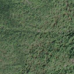 Satellite imagery of Newton Hill, CA