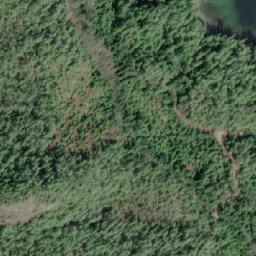 Satellite imagery of Newton Hill, CA