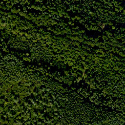 Satellite imagery of Hurstberg, DE