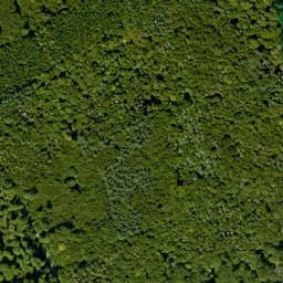 Satellite imagery of Wendelinkopf, DE