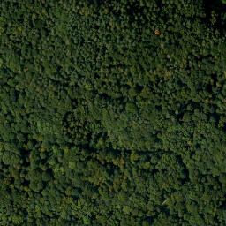 Satellite imagery of Brand, DE