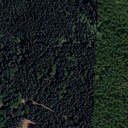Satellite imagery of Kočičí vrch [Halže-Branka u Tachova], CZ