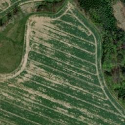 Satellite imagery of Rychnovský vrch [Rychnov na Moravě], CZ