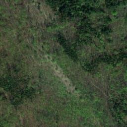 Satellite imagery of Rychnovský vrch [Rychnov na Moravě], CZ