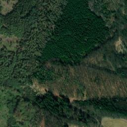 Satellite imagery of (Slavoňovský les) [Lukavice-Slavoňov], CZ