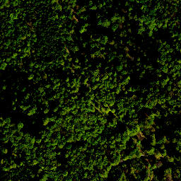Satellite imagery of survey_point, PL
