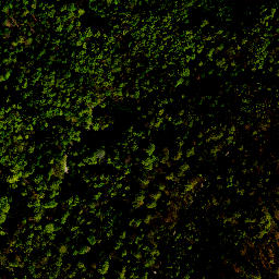 Satellite imagery of survey_point, PL
