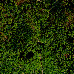 Satellite imagery of survey_point, PL