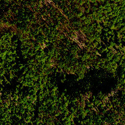 Satellite imagery of survey_point, PL