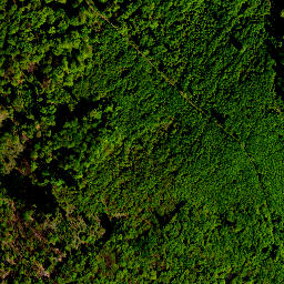 Satellite imagery of survey_point, PL