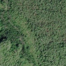 Satellite imagery of Newton Hill, CA