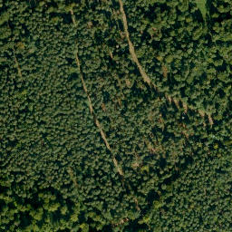 Satellite imagery of Mittelberg, DE