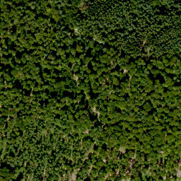 Satellite imagery of Hurstberg, DE