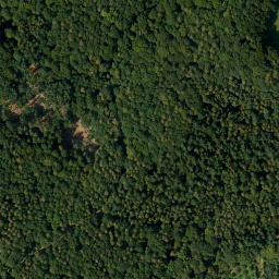 Satellite imagery of Brand, DE