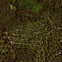 Satellite imagery of Sandwelle, DE