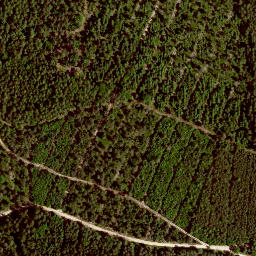 Satellite imagery of Sandwelle, DE