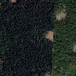 Satellite imagery of Kočičí vrch [Halže-Branka u Tachova], CZ