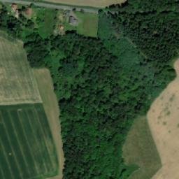 Satellite imagery of (Borovina [Seč-Prosíčka]), CZ