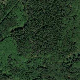 Satellite imagery of Plesný S [Hodonín u Nasavrk], CZ