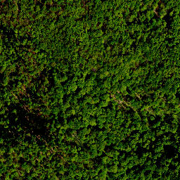 Satellite imagery of survey_point, PL