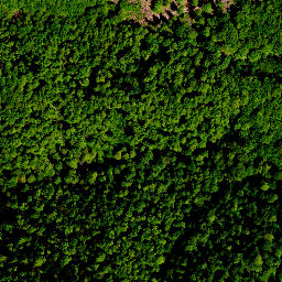 Satellite imagery of survey_point, PL