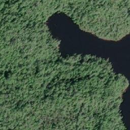 Satellite imagery of Newton Hill, CA
