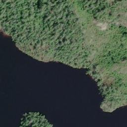 Satellite imagery of Newton Hill, CA