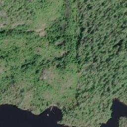 Satellite imagery of Newton Hill, CA