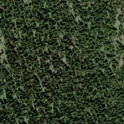 Satellite imagery of Gunwad Mountain, CA