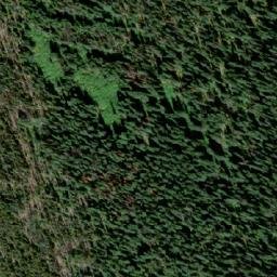 Satellite imagery of Insect Peak, CA