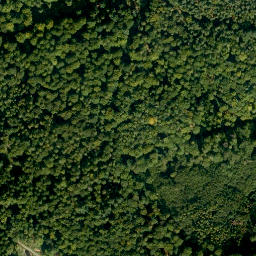Satellite imagery of Mittelberg, DE