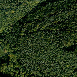 Satellite imagery of Mittelberg, DE