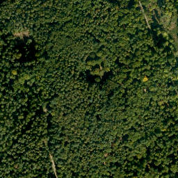 Satellite imagery of Mittelberg, DE