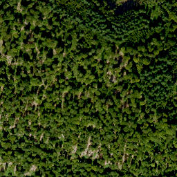 Satellite imagery of Hurstberg, DE