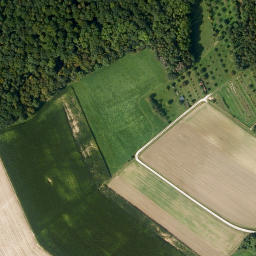 Satellite imagery of Senftenberg, DE