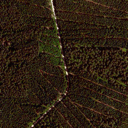 Satellite imagery of Kienbühl, DE