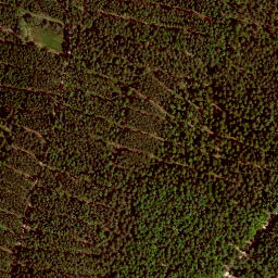 Satellite imagery of Kienbühl, DE