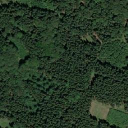 Satellite imagery of Plesný S [Hodonín u Nasavrk], CZ