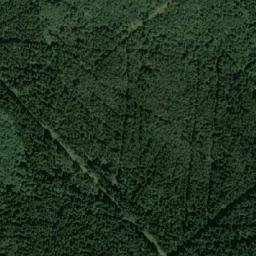 Satellite imagery of (Opatovský les) [Mikuleč], CZ