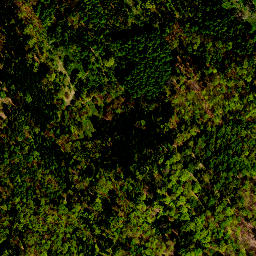 Satellite imagery of survey_point, PL