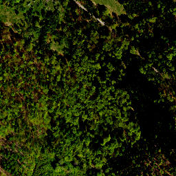 Satellite imagery of survey_point, PL
