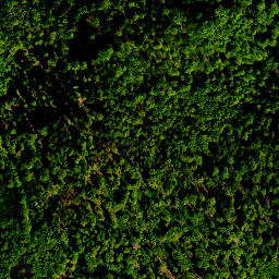 Satellite imagery of survey_point, PL